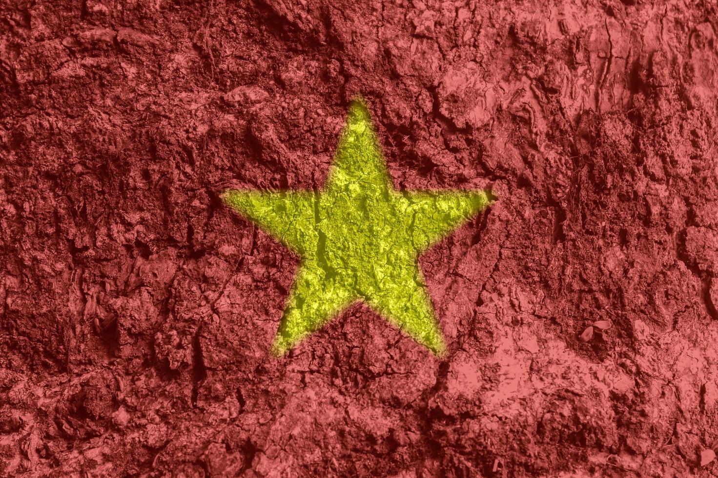 vietnamese flag texture as a background photo