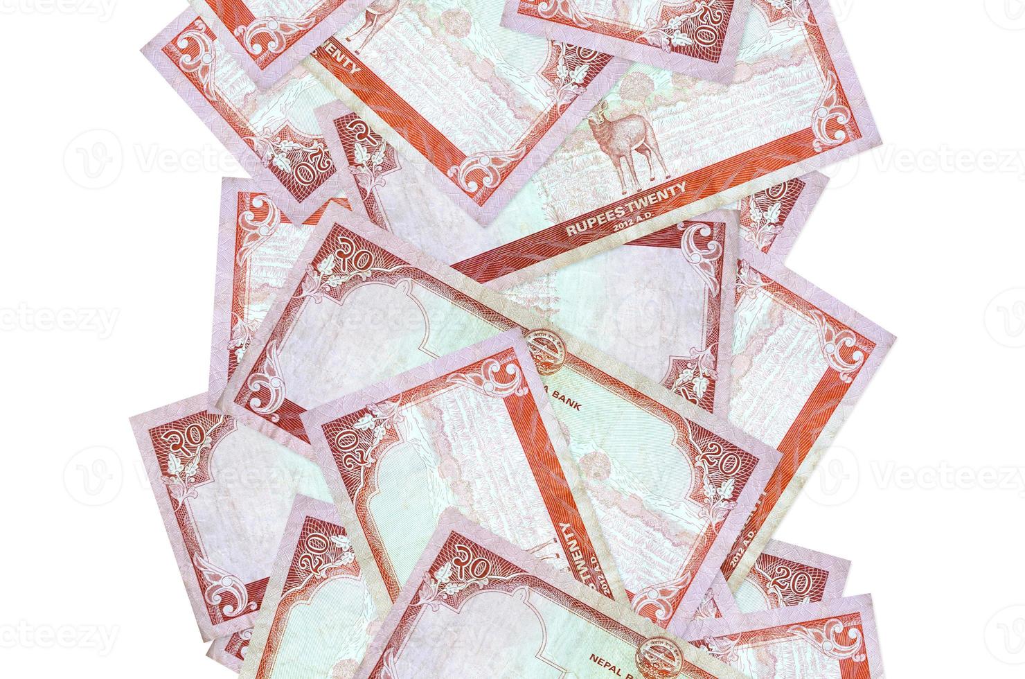20 Nepalese rupees bills flying down isolated on white. Many banknotes falling with white copyspace on left and right side photo