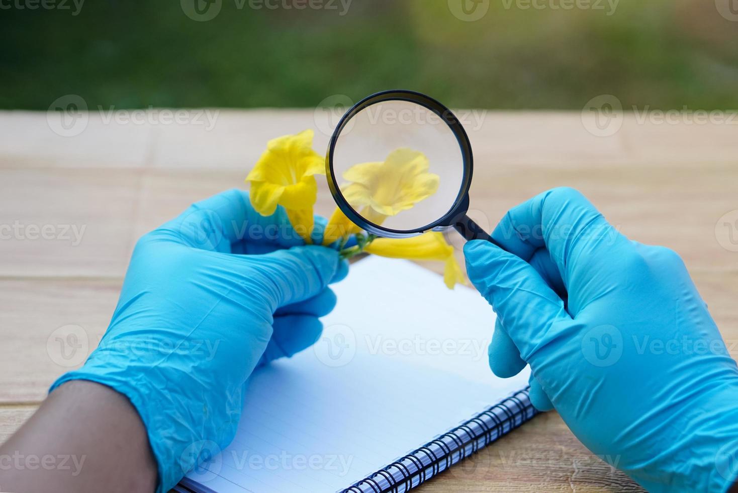 Student  hands in protective gloves hold magnifying glass to inspect flowers, holds pen to write on paper. Concept, science subject, project work. Experiment, education, learning by doing approach. photo