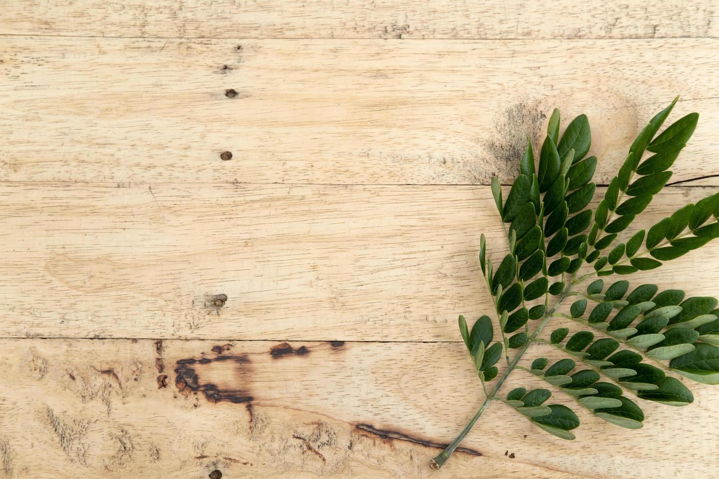 Wooden top table background and natural leaf copy space. Shot from top view. photo