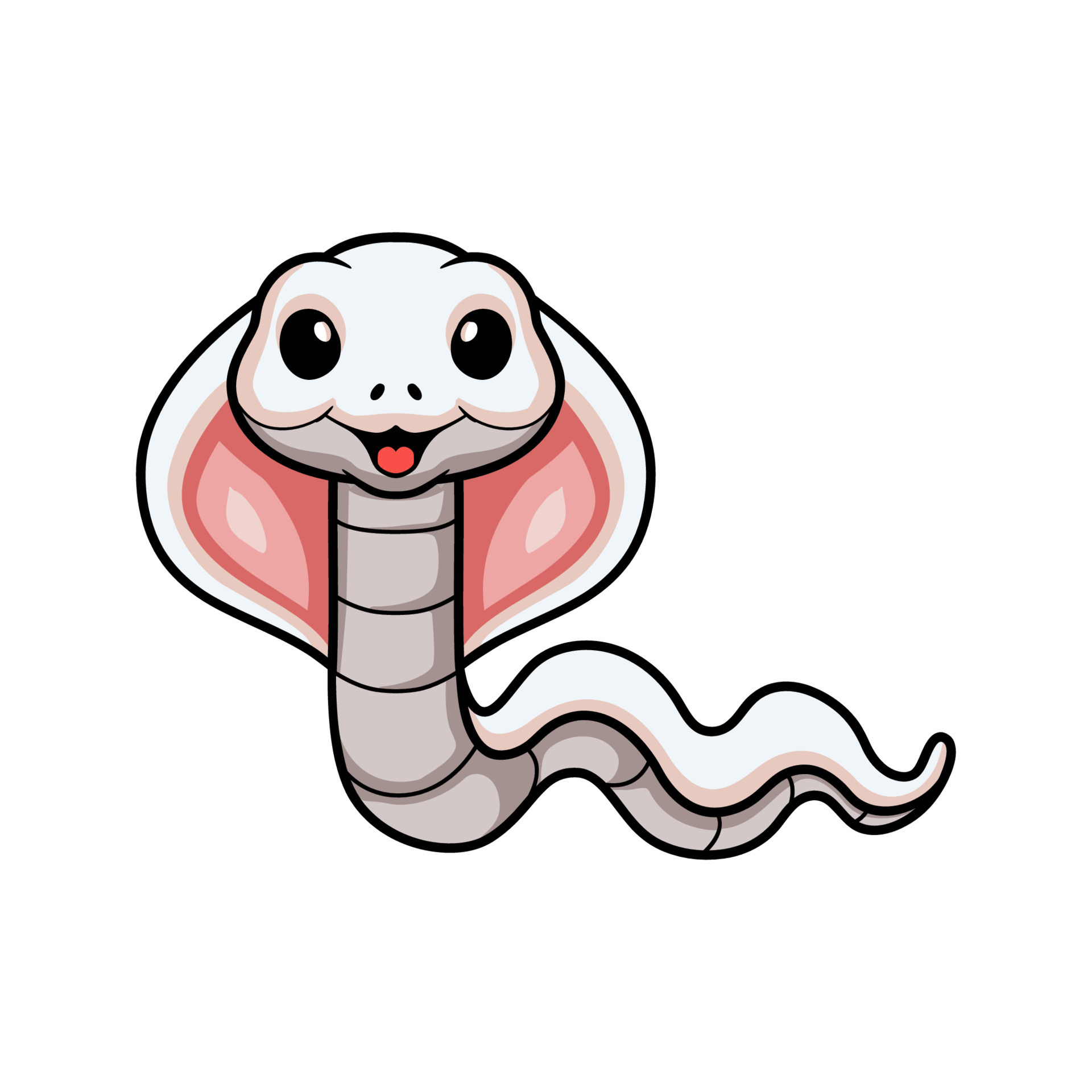Cute leucistic cobra snake cartoon 17030791 Vector Art at Vecteezy Cute leucistic cobra snake cartoon 17030791 Vector Art at Vecteezy