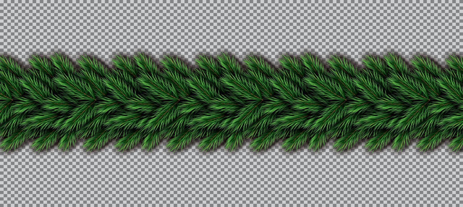 Border with Christmas Tree Branches on Transparent Background. vector