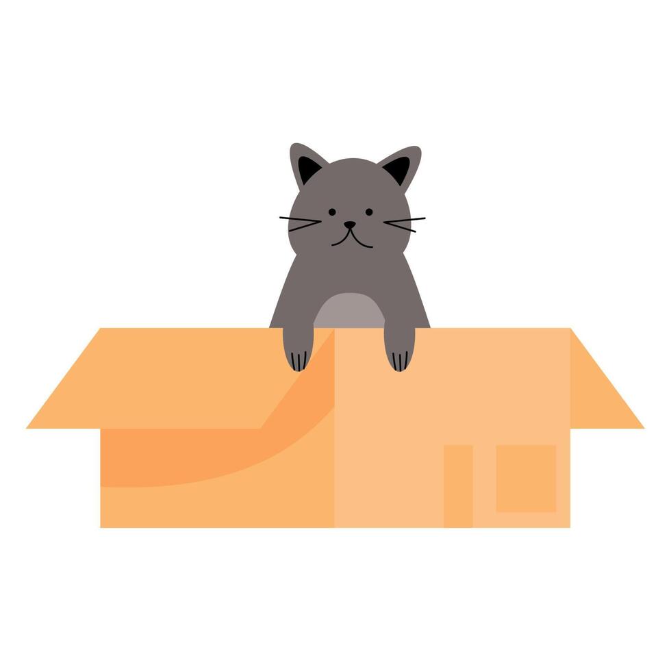 little cat in box vector
