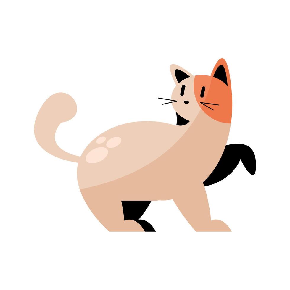 lindo gatito vector