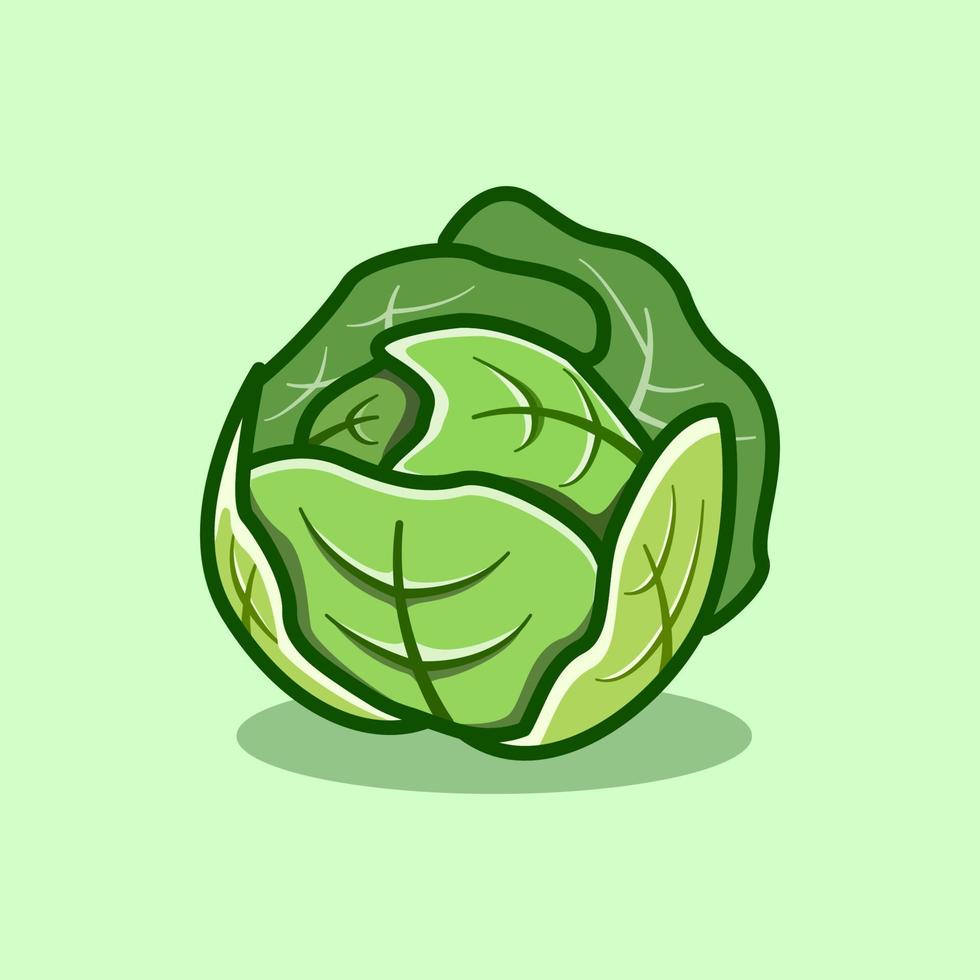 cute cabbage illustration in cartoon style on isolated background vector