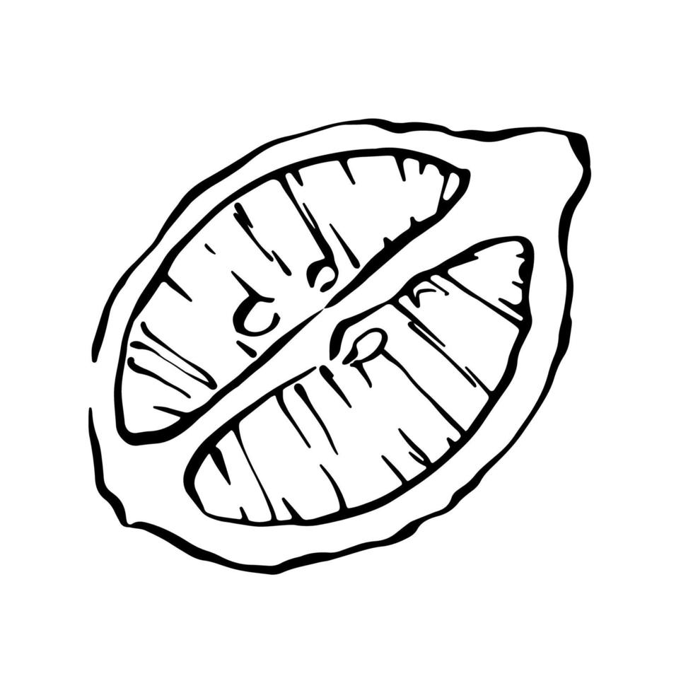 Hand drawn cut lemon half black and white vector illustration.