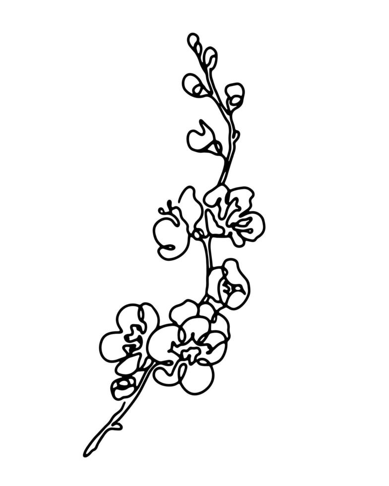 Cherry blossom branch abstract line art drawing, sprimg sakura bloom hand drawn monochrome outline vector illustration