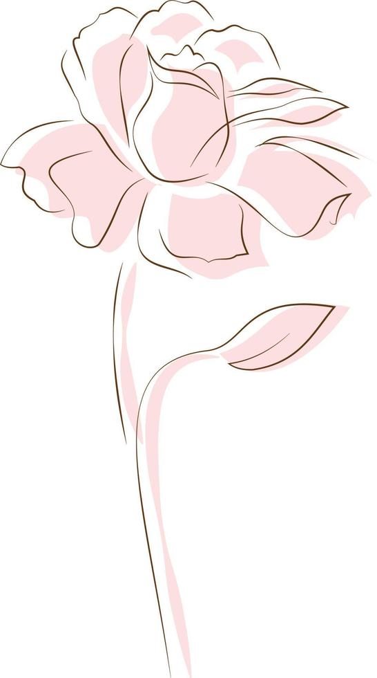 Vector Art .A flower with open leaves of a light pink color