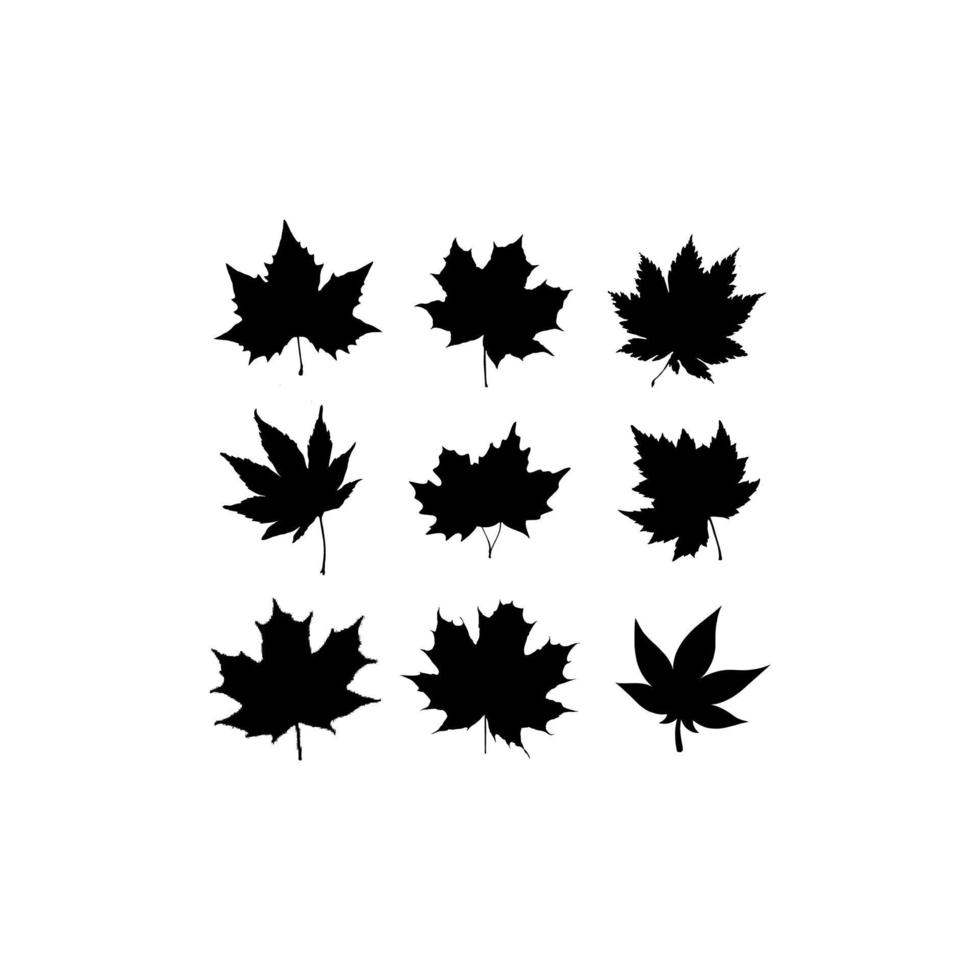 maple leaf autumn illustration set icon design vector