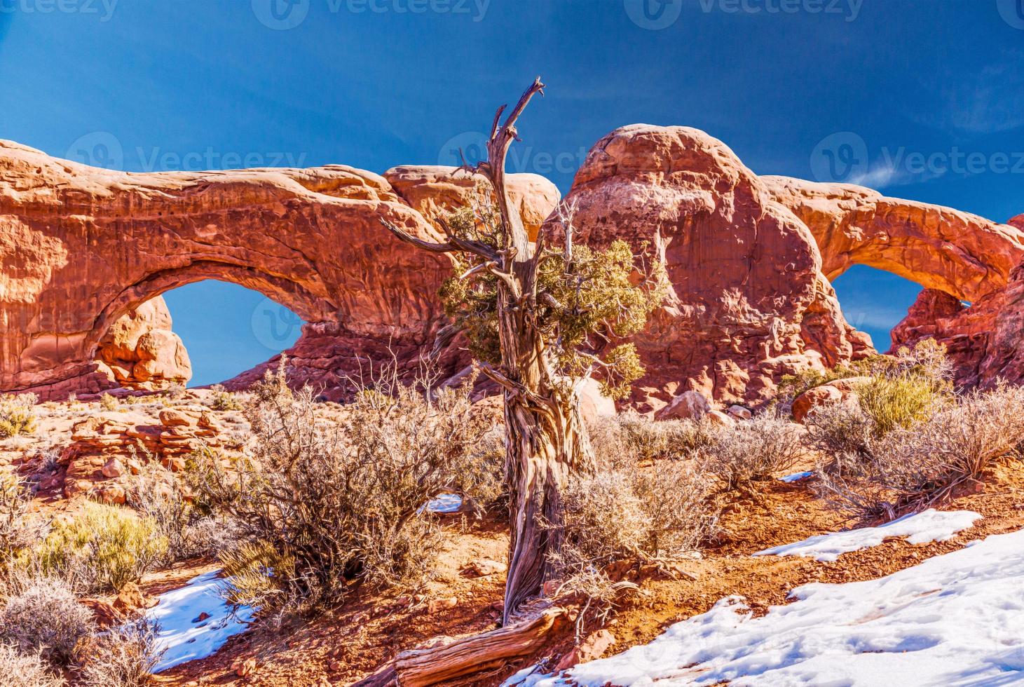 Panoramic picture of natural and geological wonders of Arches national park in Utah in winter photo