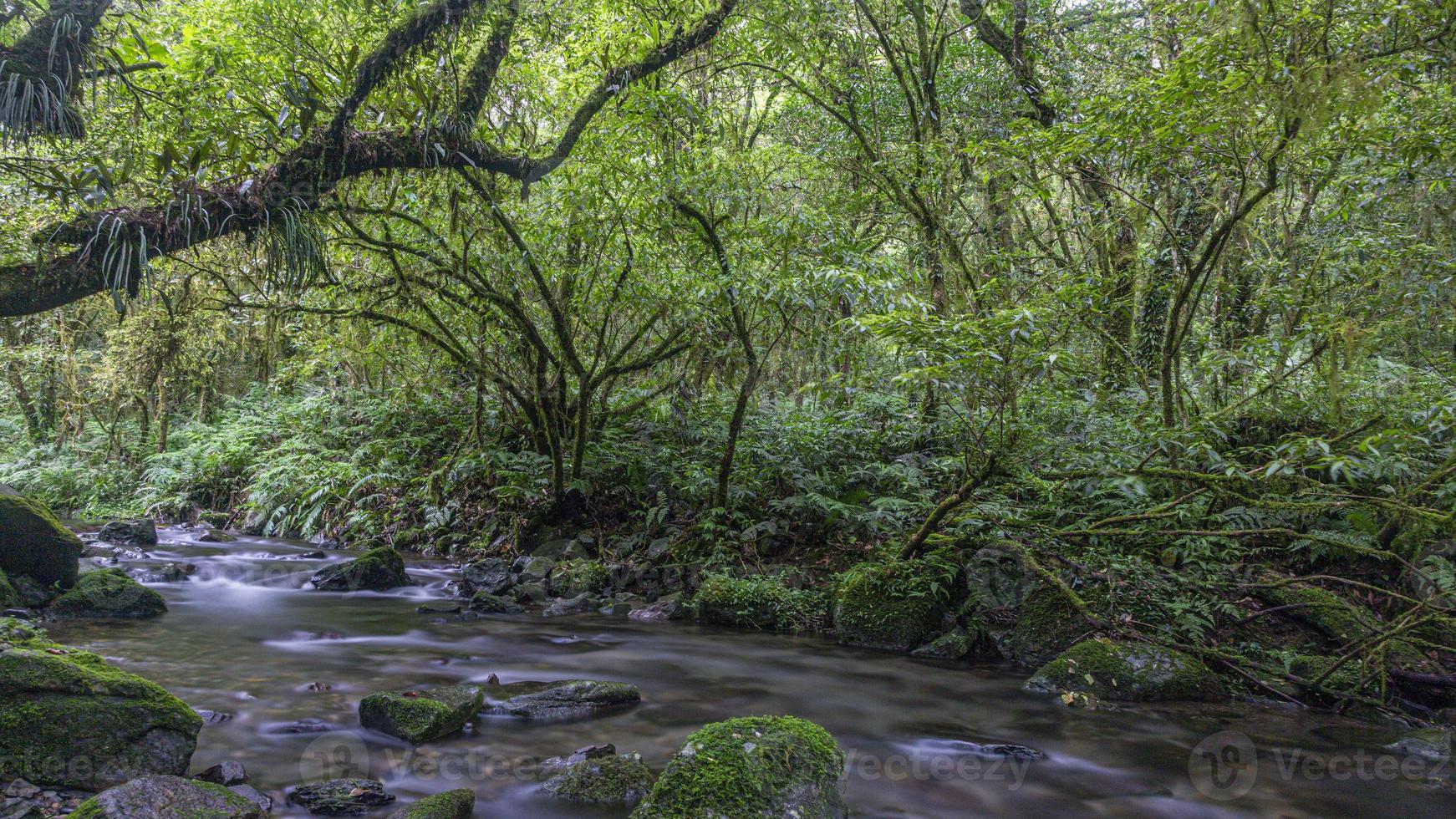 Long exposure panorama picture of a river flowing through a rain forest on the island of Taiwan during daytime photo