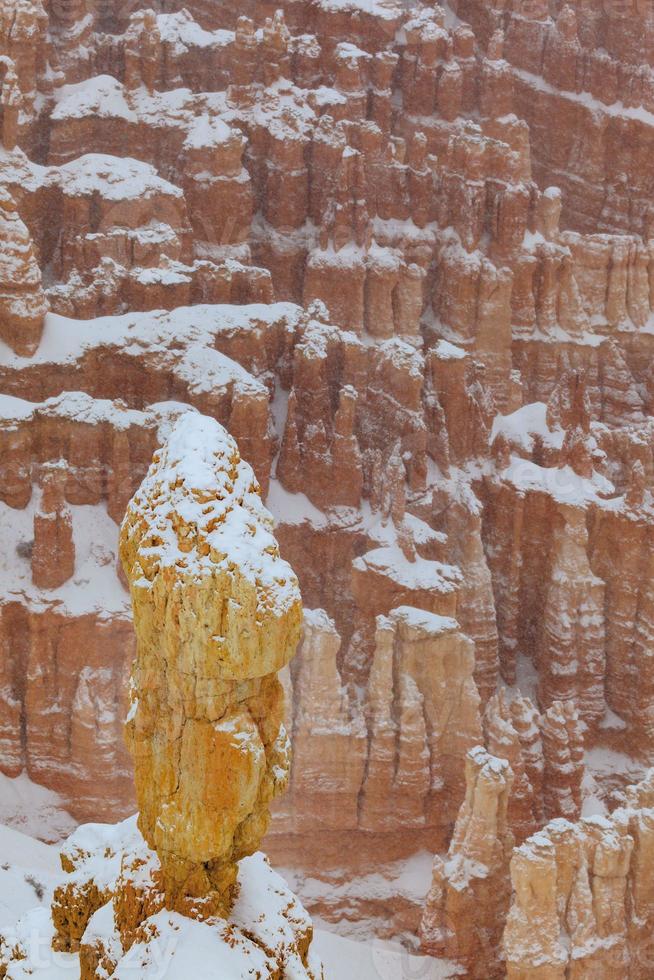 Snow-covered rock pin in Bryce Canyon photo