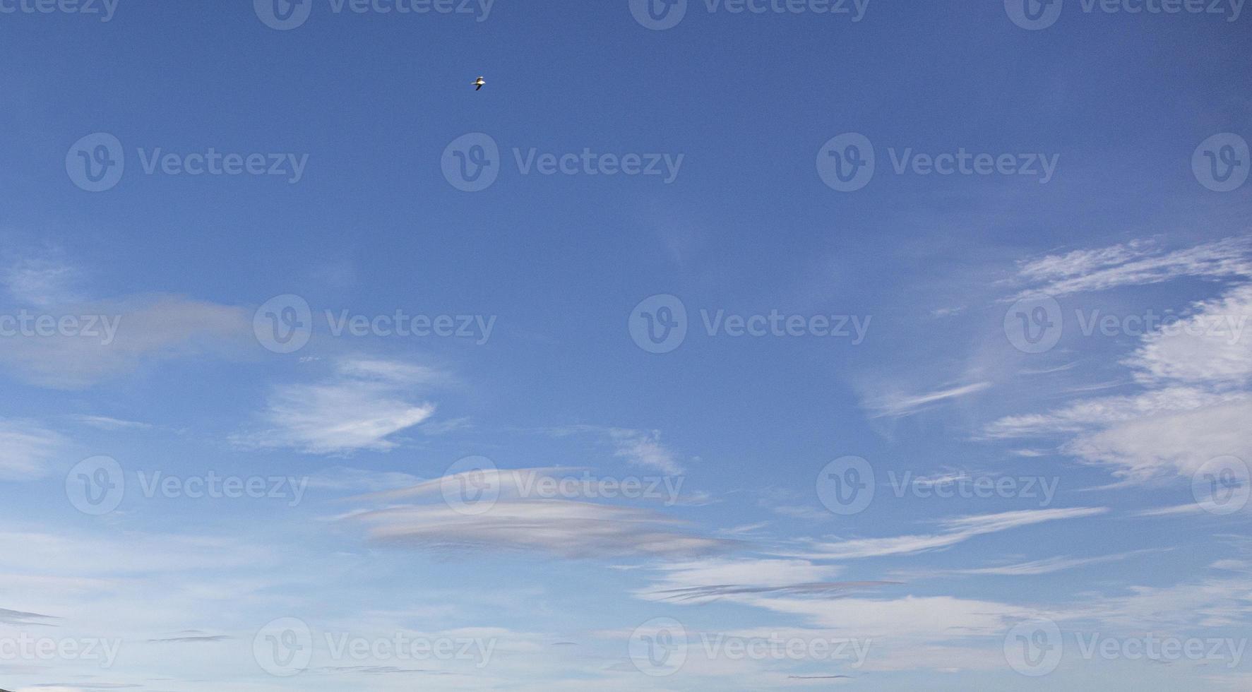 Image of a partly cloudy and partly clear sky during the day photo