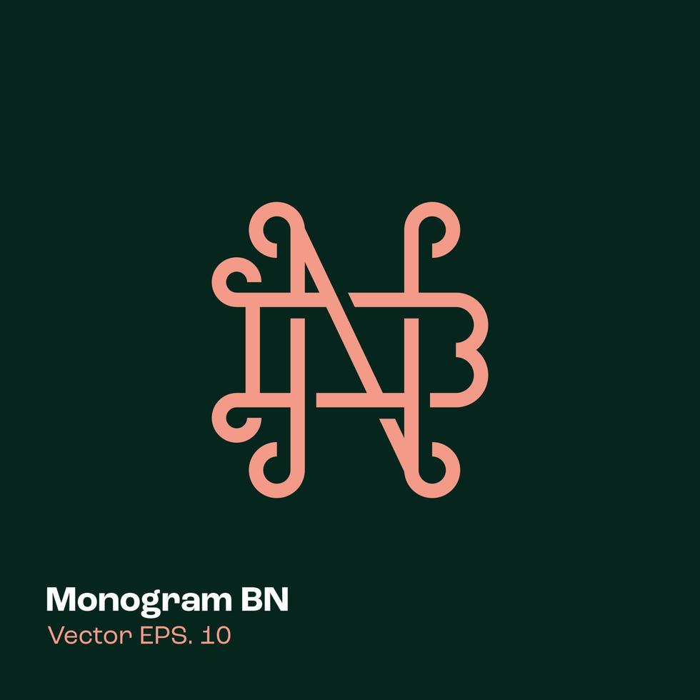 Monogram Logo BN vector