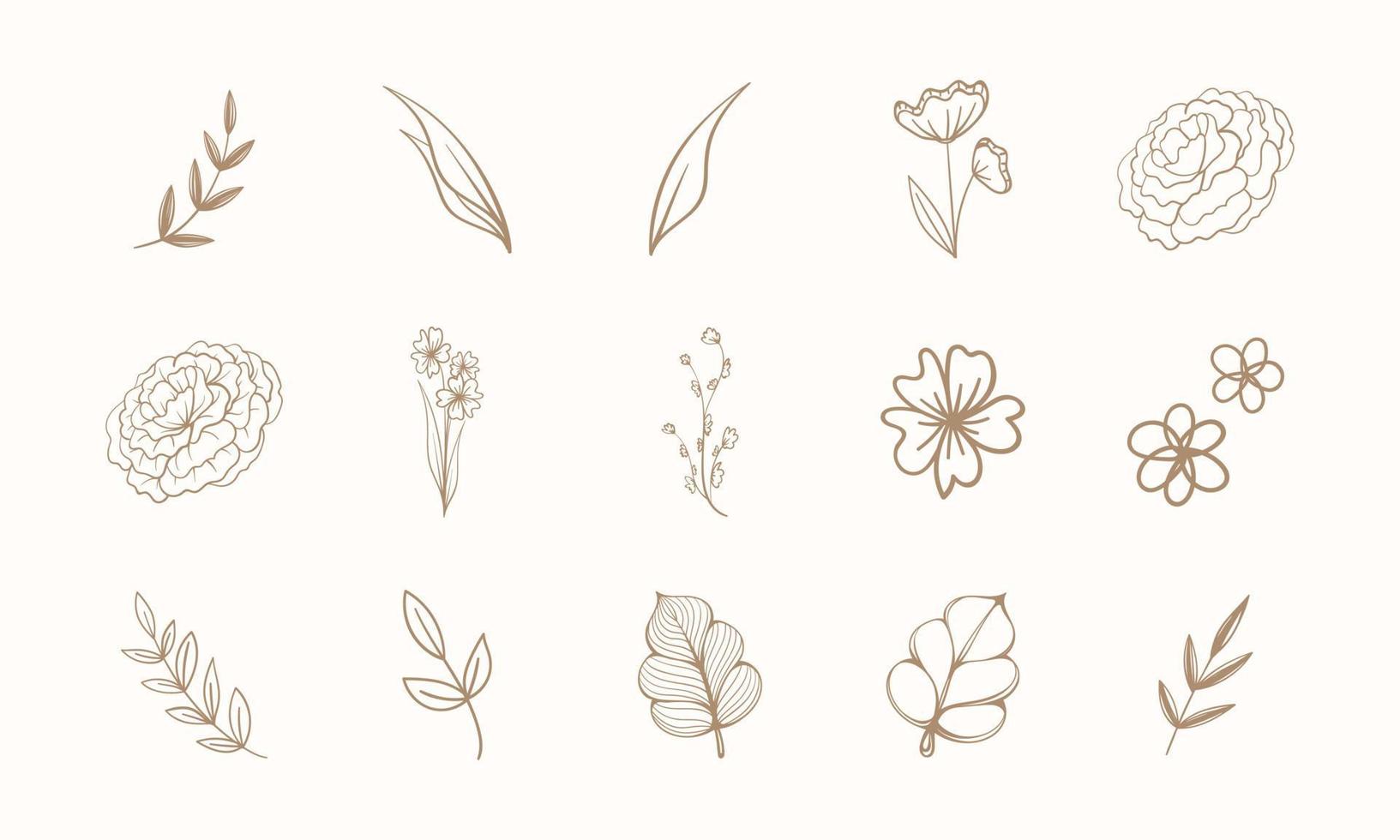 Set of line art floral botanical abstract flowers and branches. Outline design elements isolated on background, vector illustration