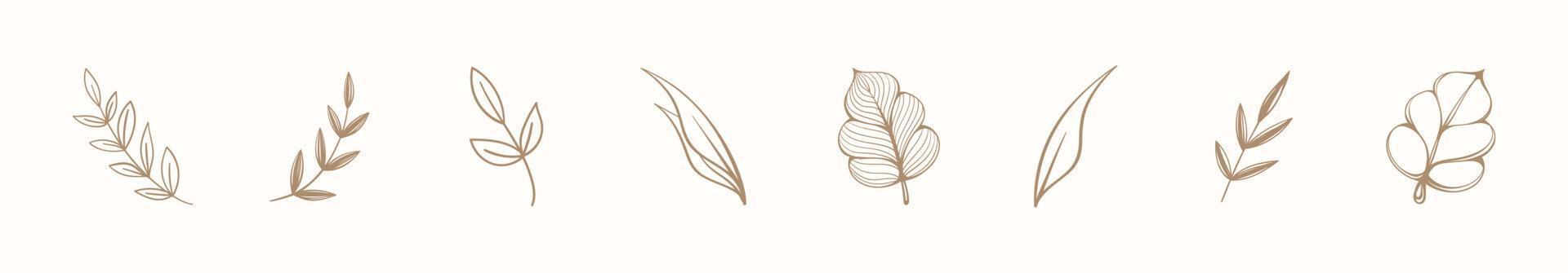 Set of line art floral botanical abstract leaves and branches. Outline design elements isolated on background, vector illustration