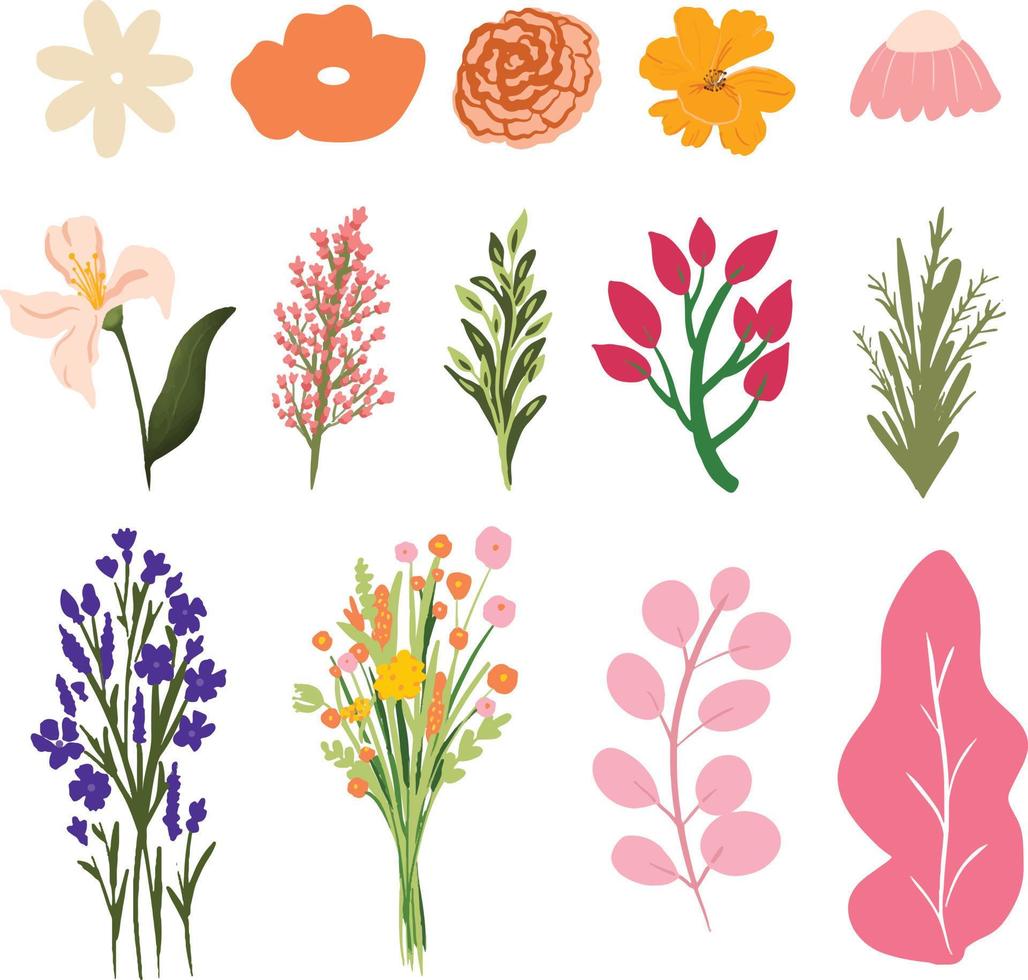 dibujado a mano ilustración de vector de colección de flores y hojas de primavera