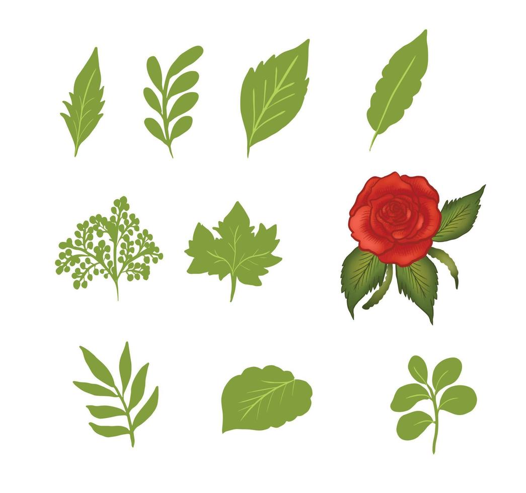 dibujado a mano ilustración de vector de colección de flores y hojas de primavera