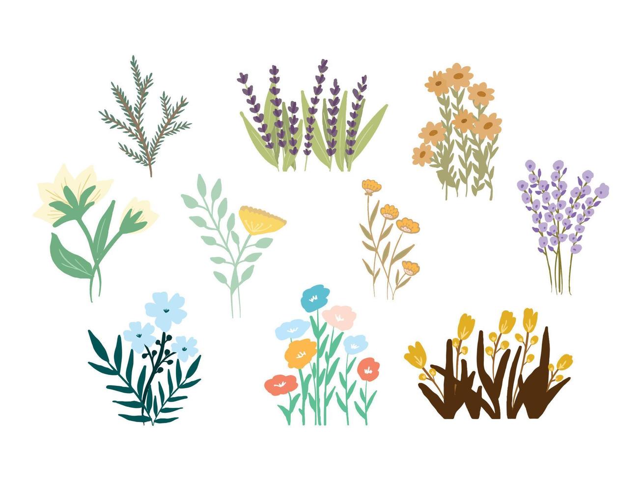 dibujado a mano ilustración de vector de colección de flores y hojas de primavera