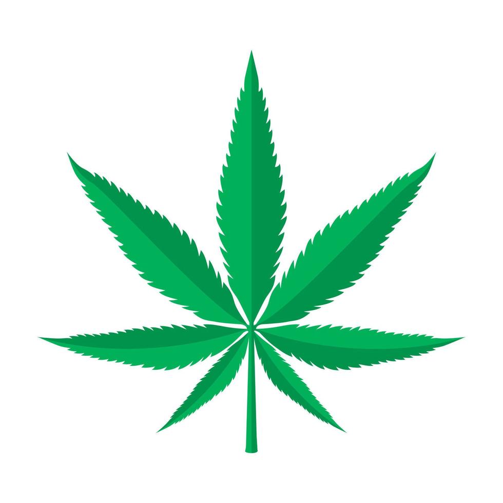 ilustración de vector de hoja de hierba verde de hierba de marihuana