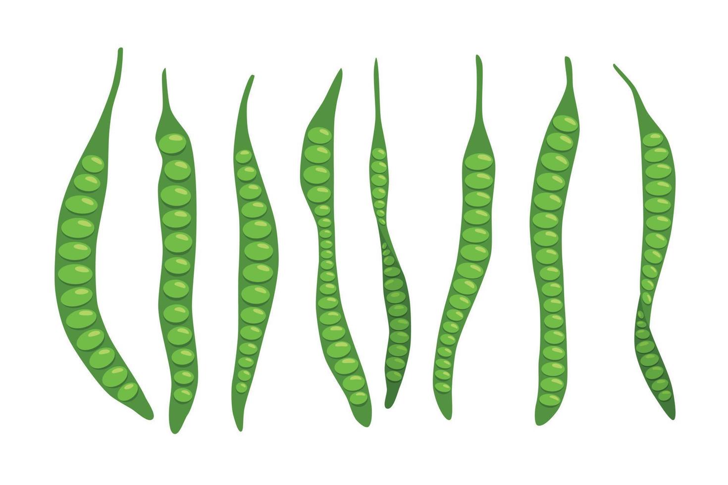 Petai Stink beans cartoon vector image
