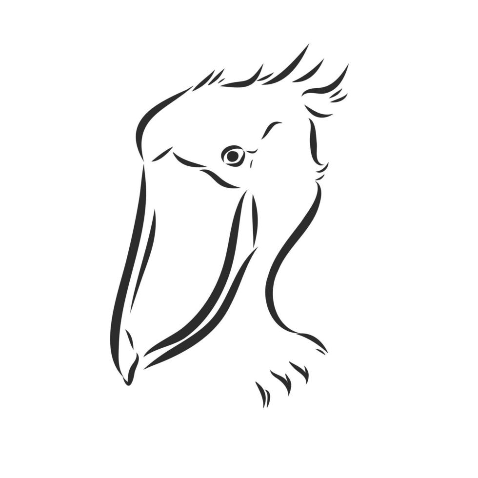shoebill vector sketch