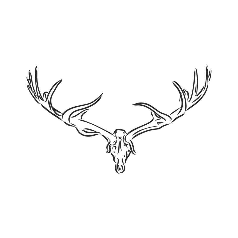 moose vector sketch
