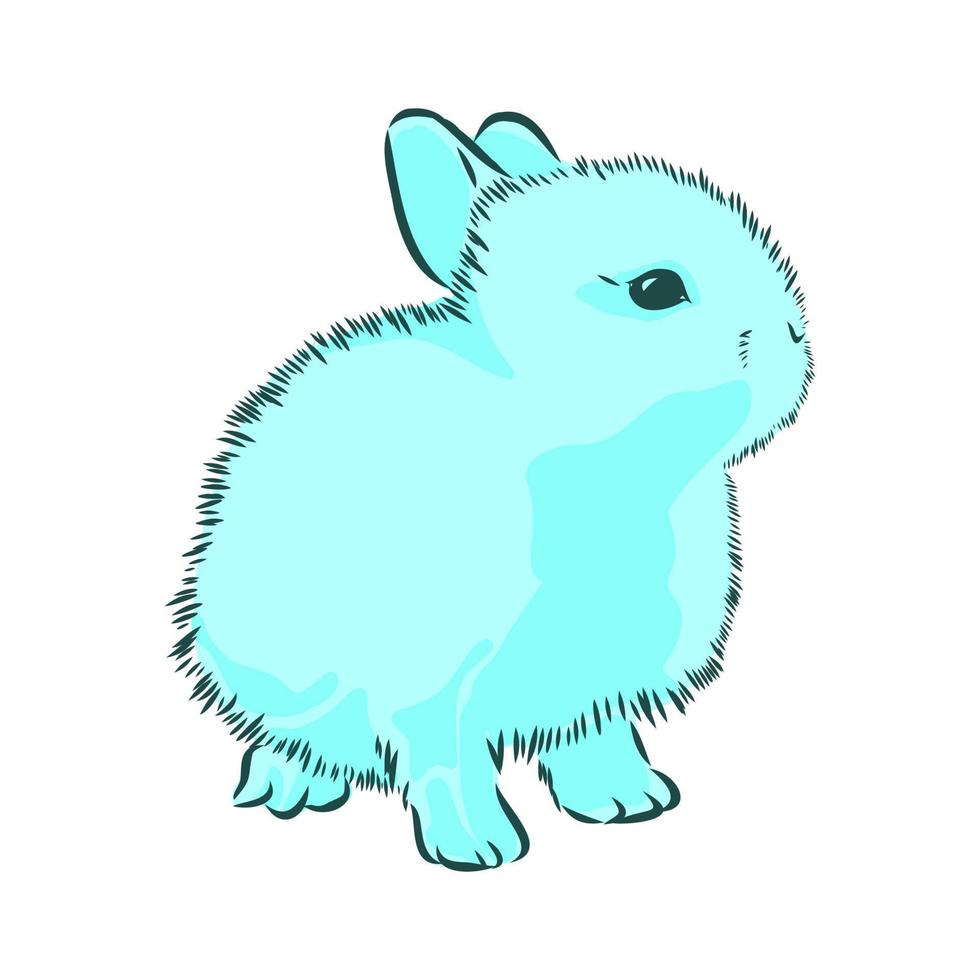 dibujo vectorial de conejo vector