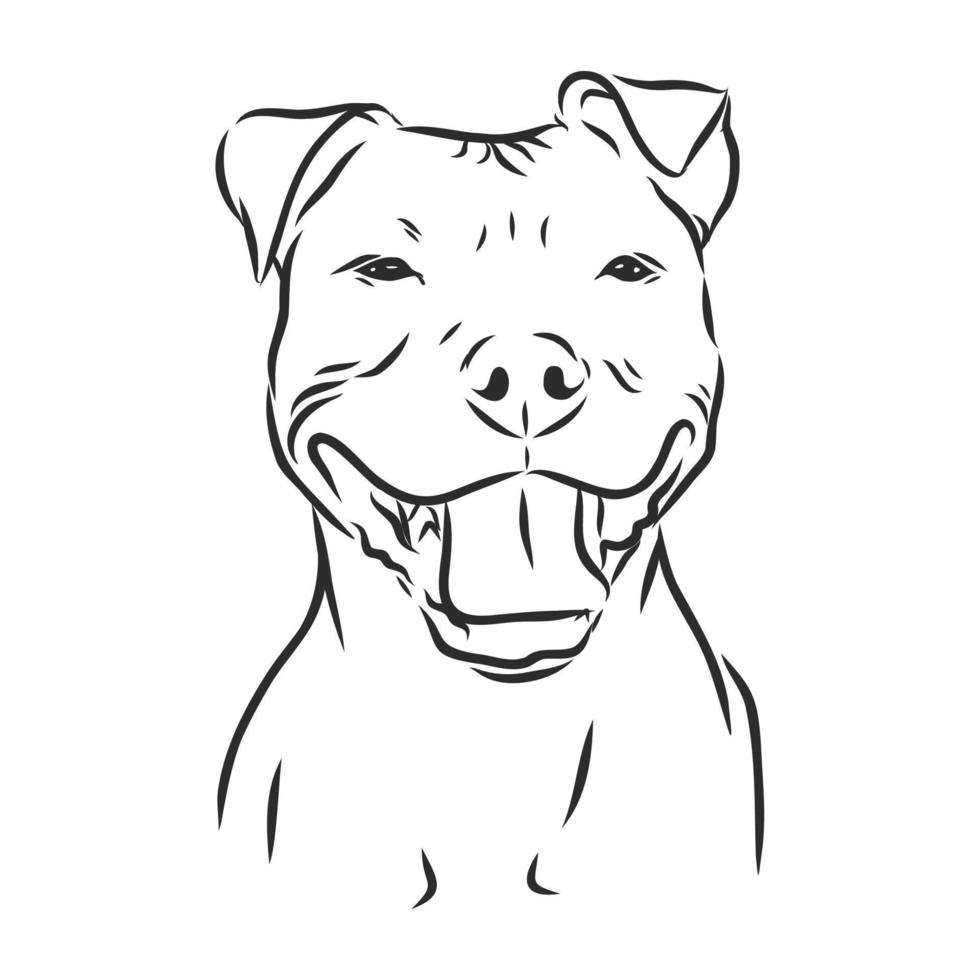 dog vector sketch