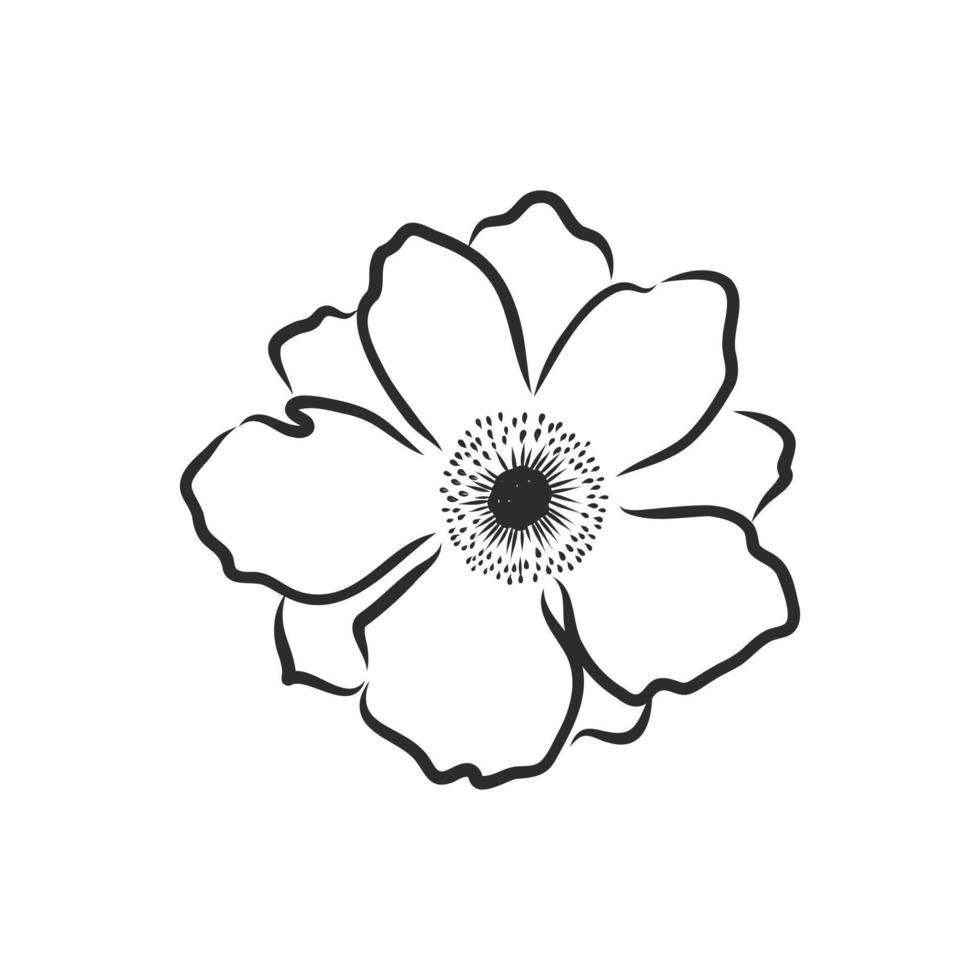flower vector sketch