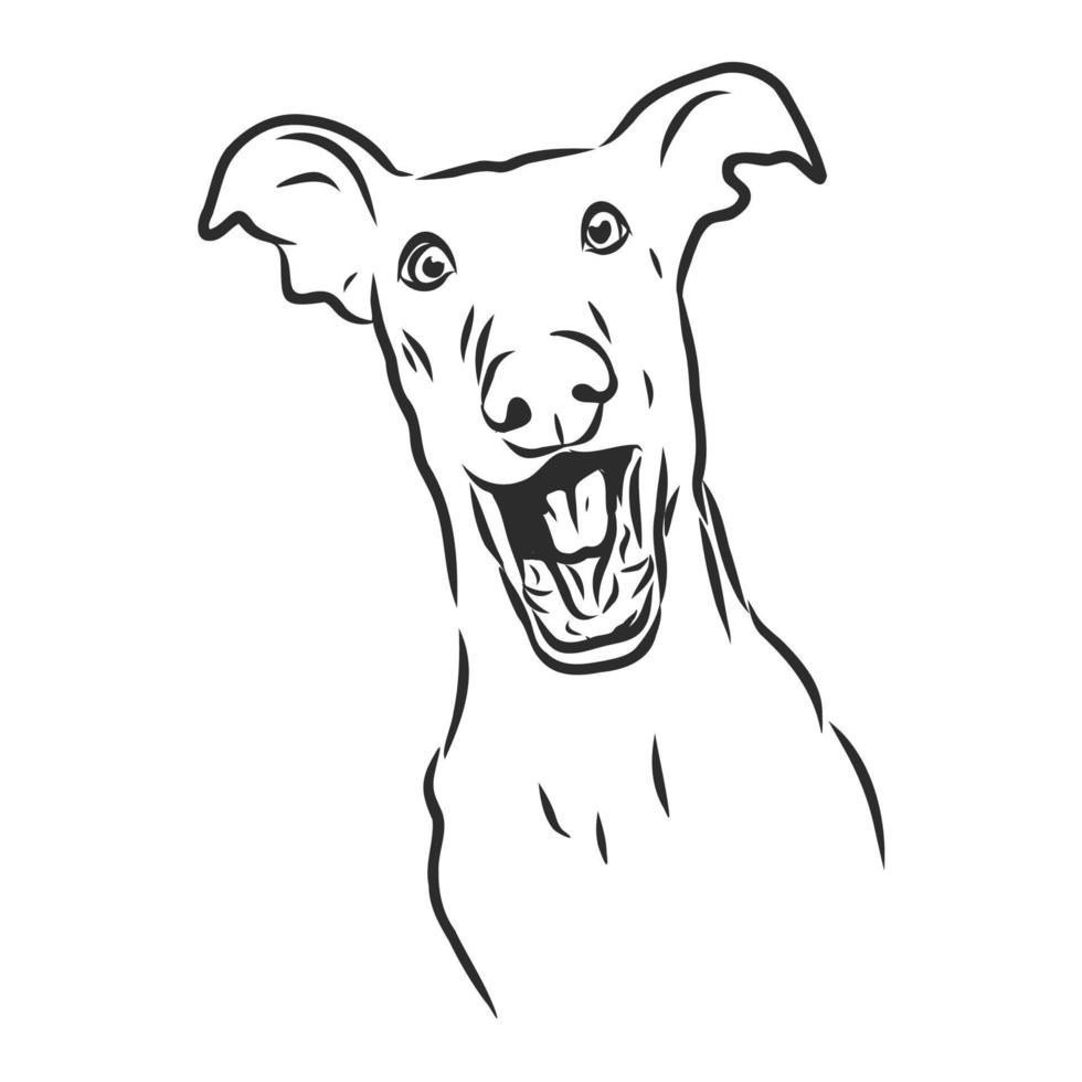 dog vector sketch