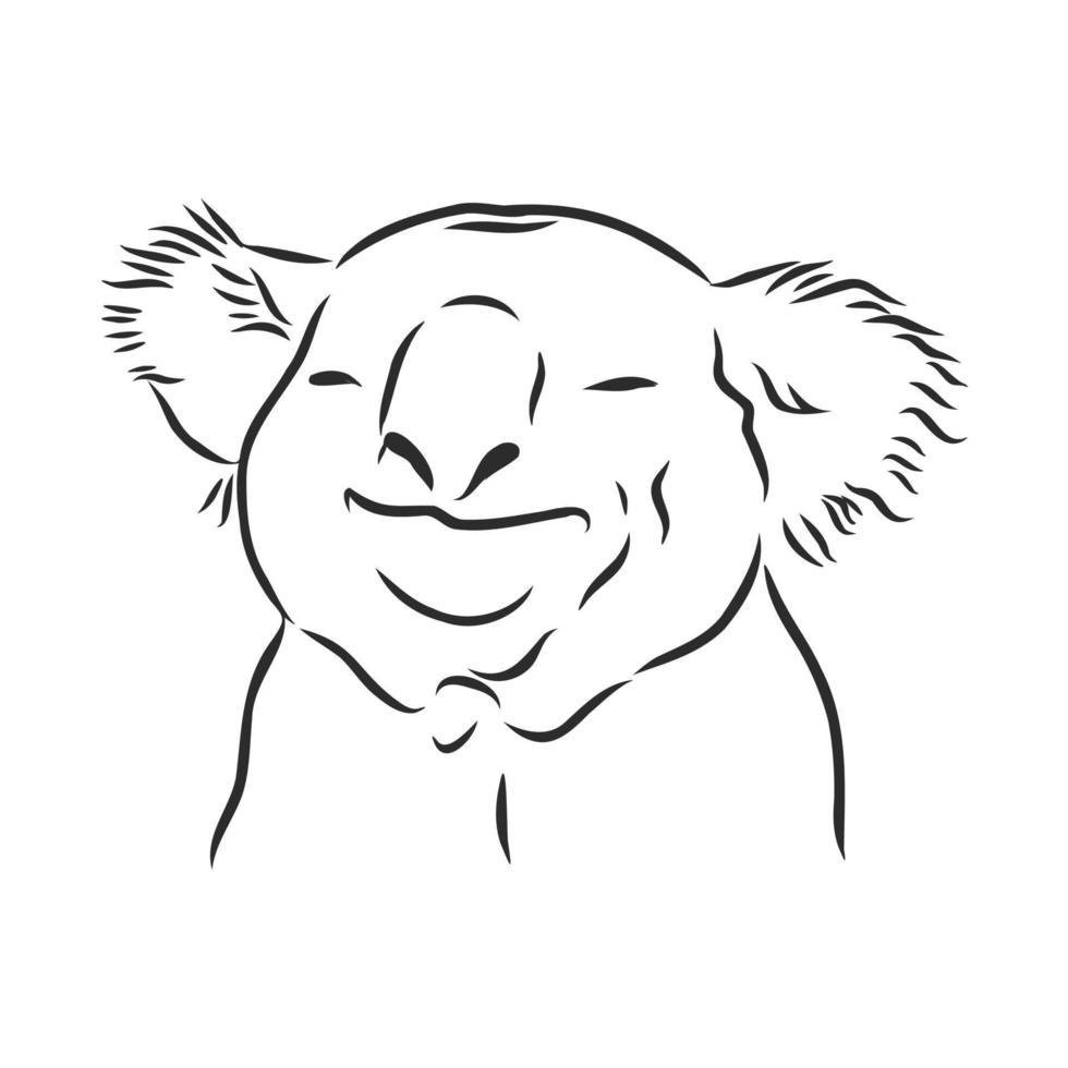 dibujo vectorial de koala vector