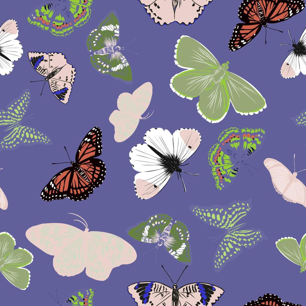 butterflies vector sketch