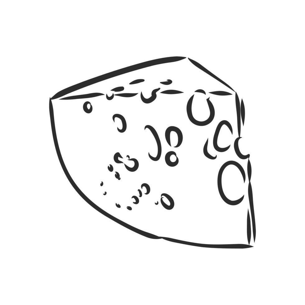 dibujo vectorial de queso vector