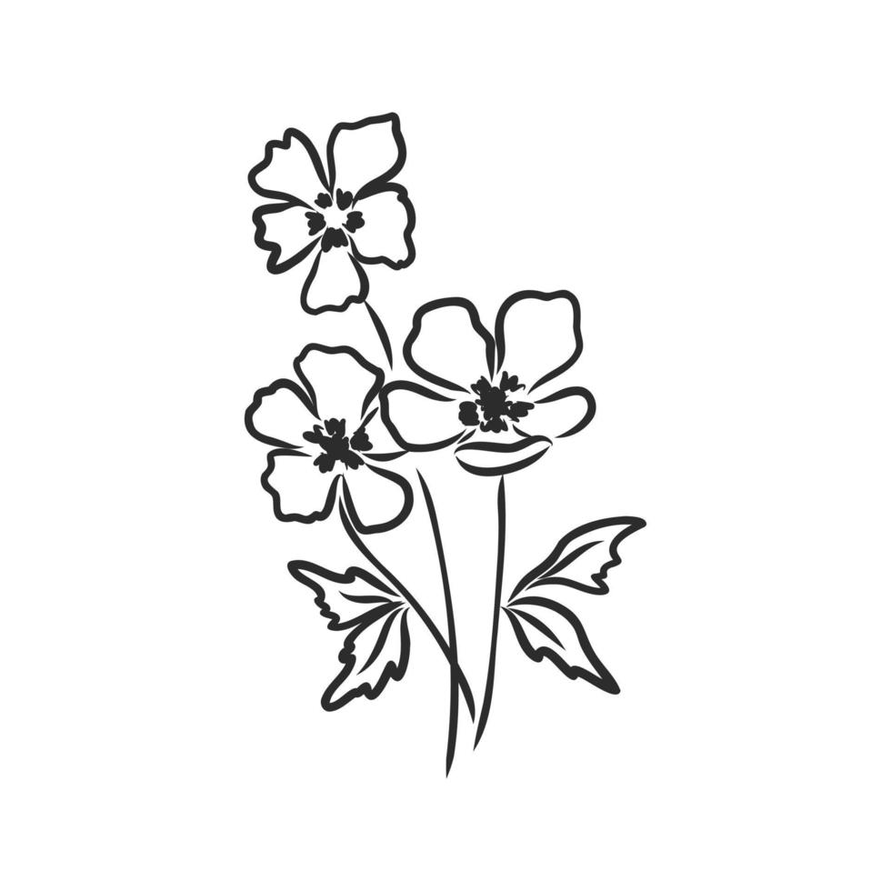 bosquejo del vector de la flor