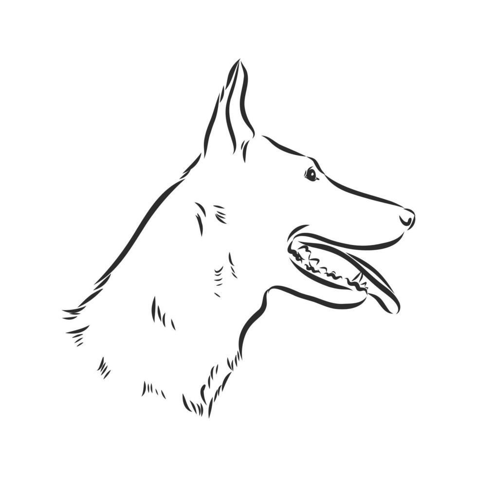 dog vector sketch