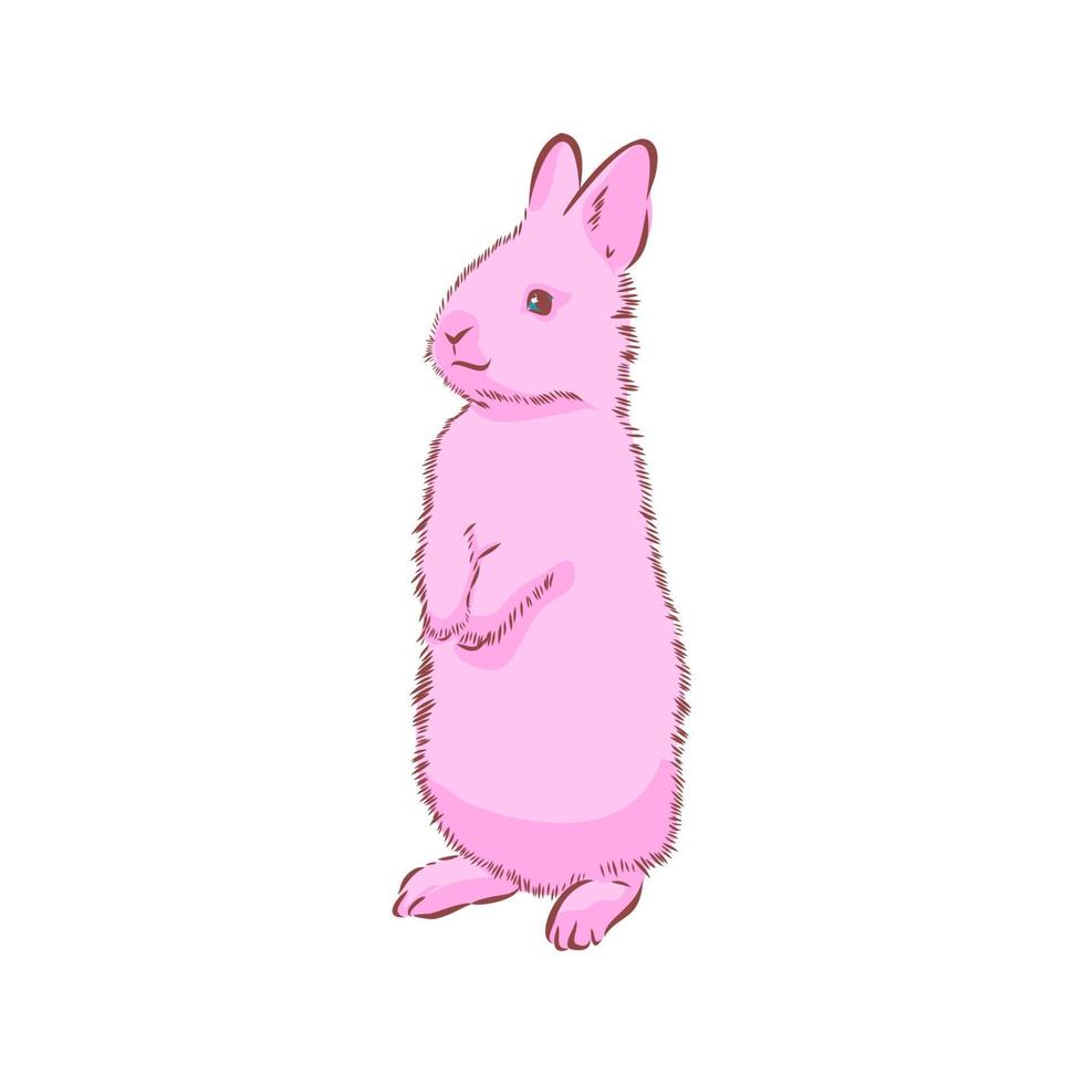 rabbit vector sketch