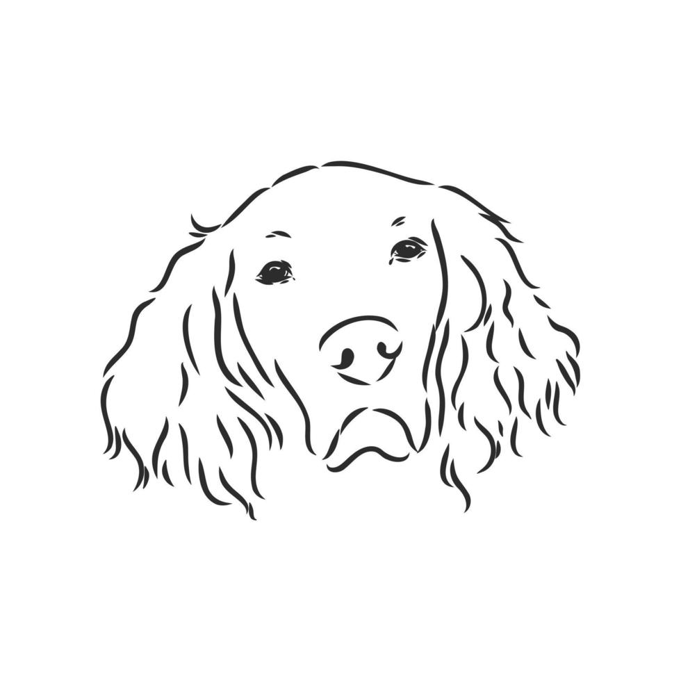 dog vector sketch