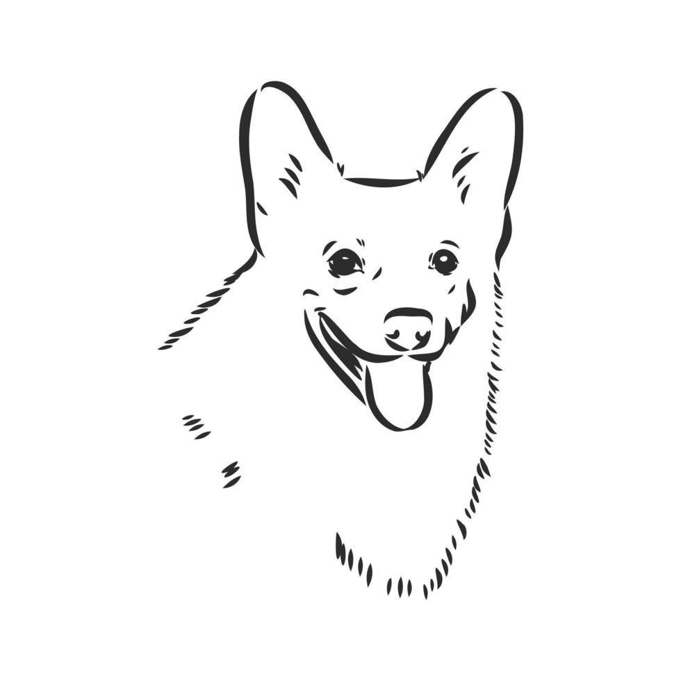 dog vector sketch