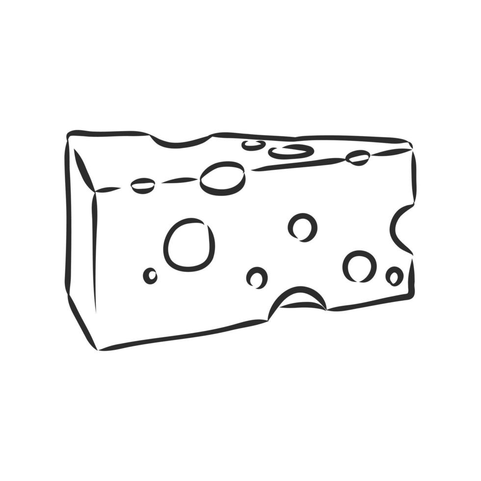 dibujo vectorial de queso vector