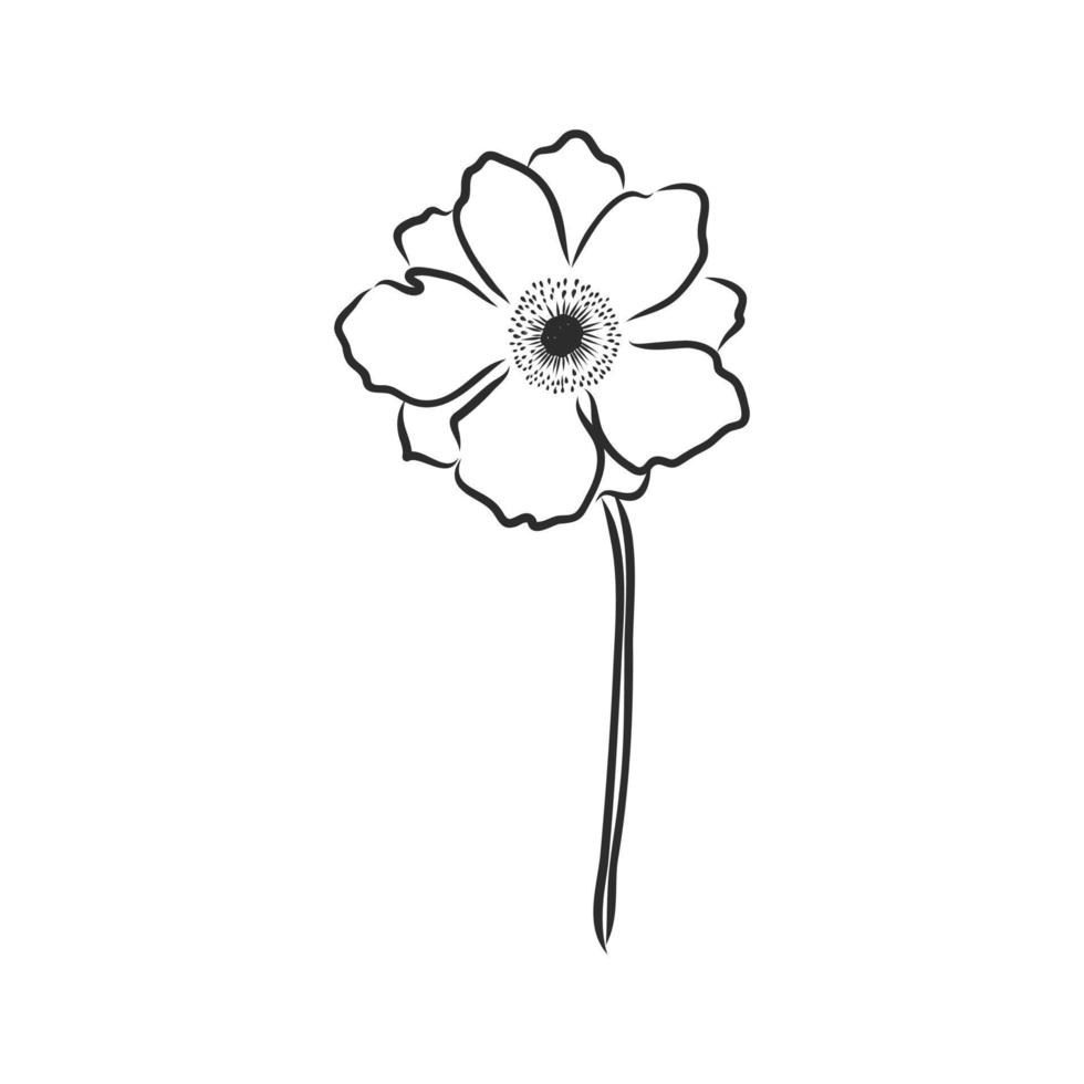 bosquejo del vector de la flor