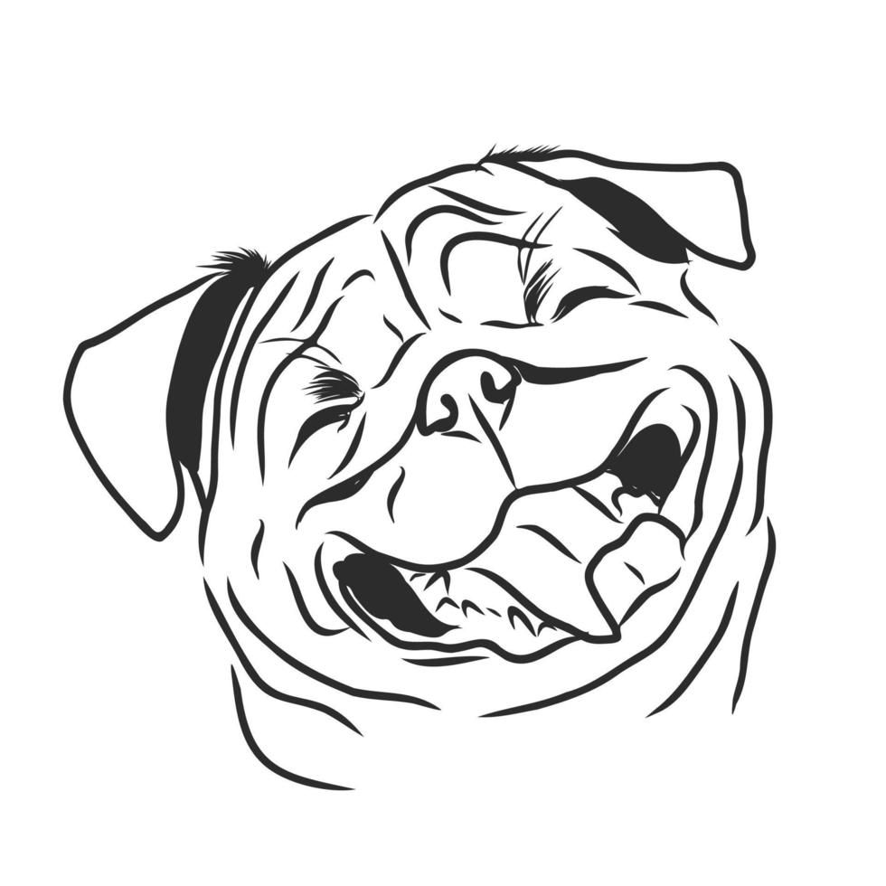 dog vector sketch