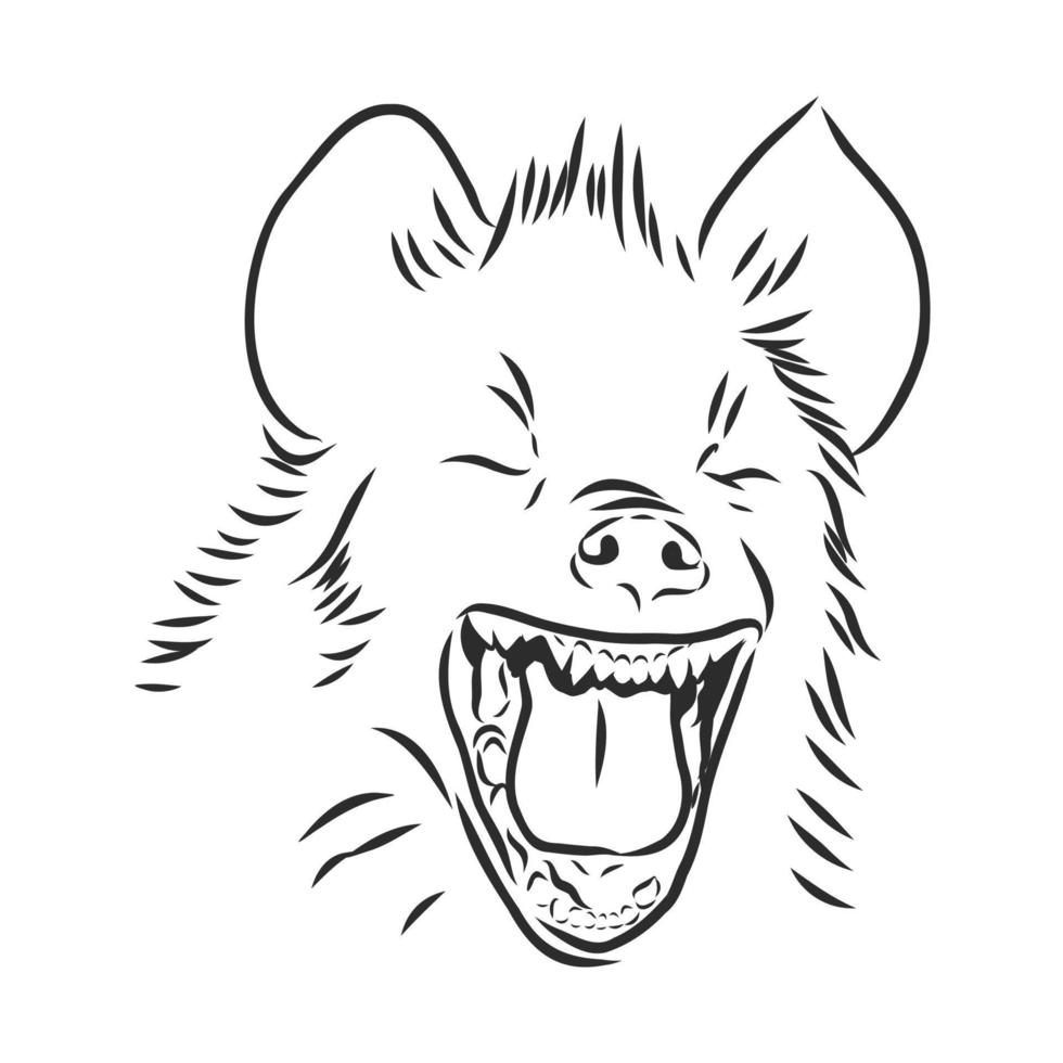 hyena vector sketch