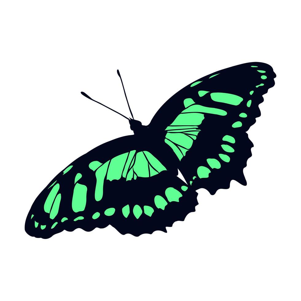 bosquejo del vector de las mariposas