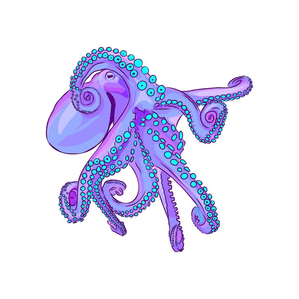 octopus vector sketch