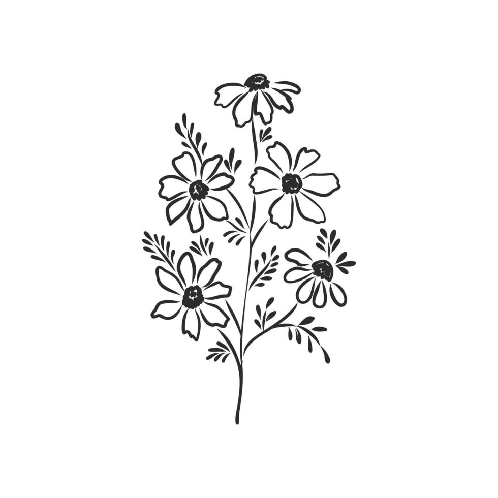 flower vector sketch