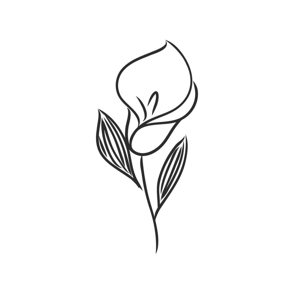 flower vector sketch