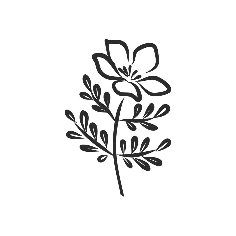 flower vector sketch