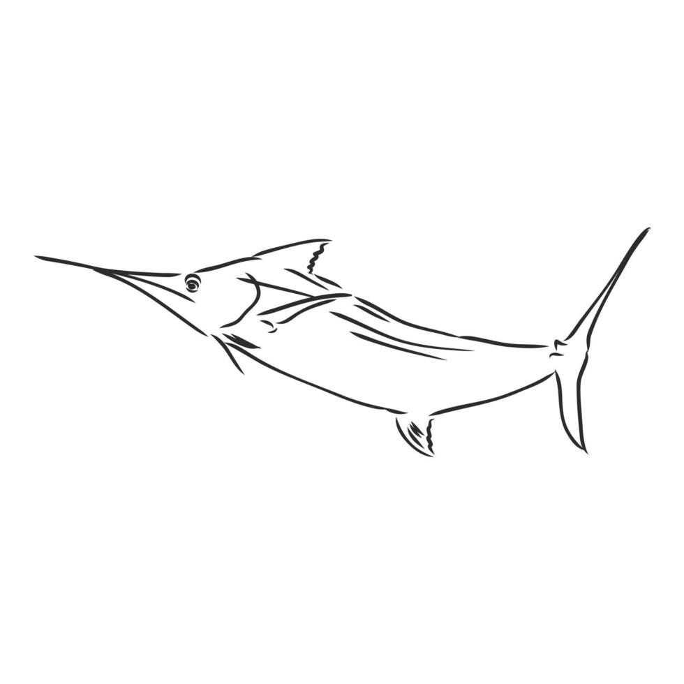 sawfish vector sketch