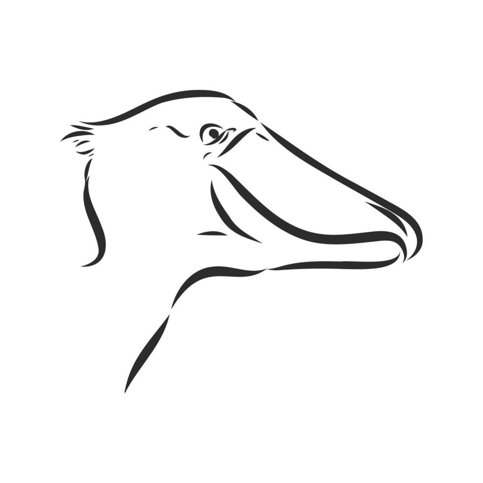 bosquejo del vector shoebill